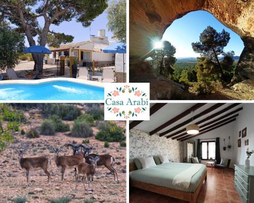 Yecla Bed & Breakfast | CasaArabí