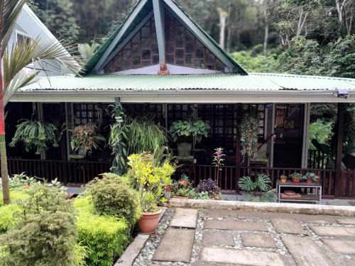 Valle Pura Vida House | Casas Guaney, full furnished studios!