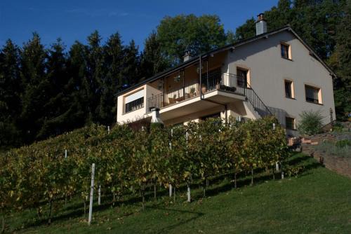 Lontzen Apartment | CasaVitis Erholung am Weinberg