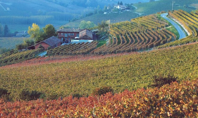 Serralunga d'Alba House | Cascina Meriame