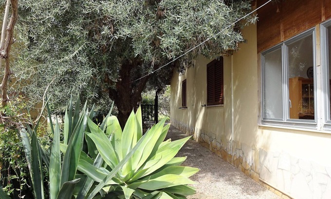 Gallina Ski Chalet | Casetta degli Ulivi - Small house with garden 5 minutes from the beach