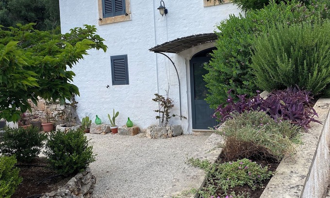 Fumarola House | Casina Fumarola among the ancient olive trees