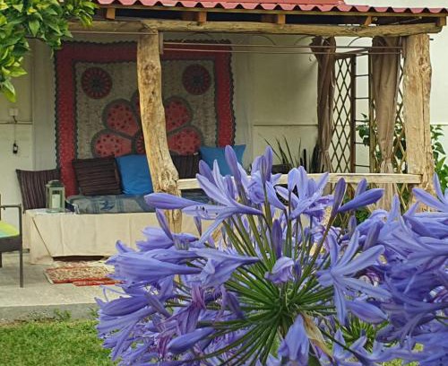 Famalicao Bed & Breakfast | Casinha d'Alice et Serge