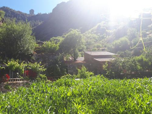 Tejeda House | Casita el Parral