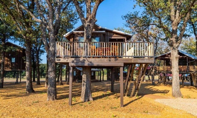 Elm Mott RV Rental | Cedar Waxwing Treehouse(15 MIN to Magnolia/Baylor)