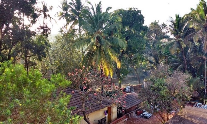 Ganpatipule Hotel | Center Point Residency