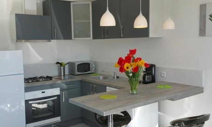 La Roche-Posay Apartment | Central Apartment in La Roche-Posay with Pool and Terrace
