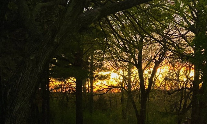 Eufaula House | Centrally located 5 min to Lake Eufaula marina and great driveway for boats