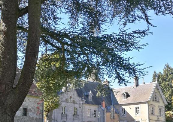 Crocq Bed & Breakfast | Château de Crocq - Chambres d'Hôtes de Charme