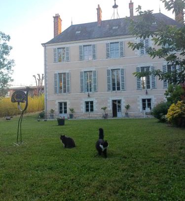 Olivet Bed & Breakfast | Château de la Mothe