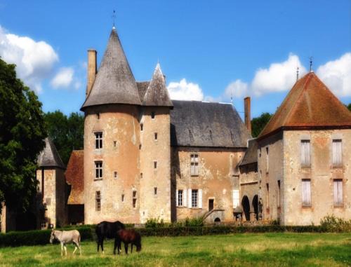 Le Theil Bed & Breakfast | Château du Max