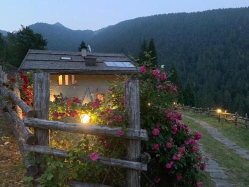 Montagne Villa | Chalet Delle Rose