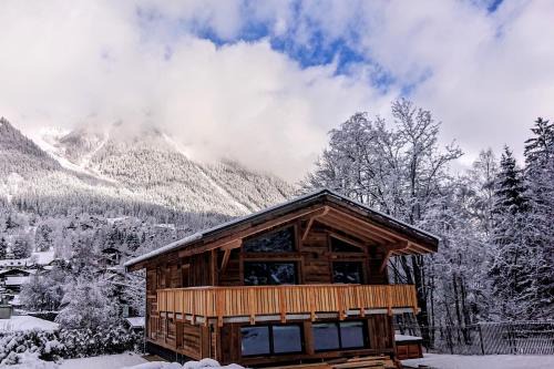Chamonix-Mont-Blanc Apartment | Chalet des Amis- Chamonix All Year