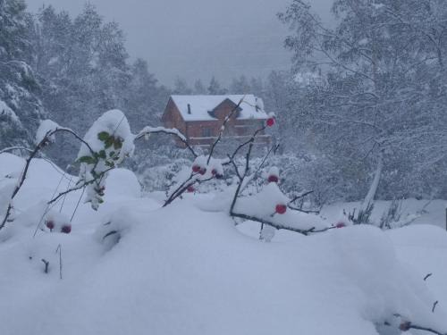 L'Hospitalet-pres-l'Andorre Ski Chalet | Chalet bois au milieu des Pyrénées