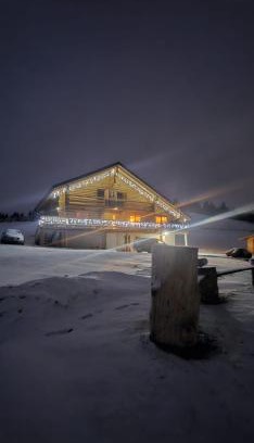 Saru Dornei Ski Chalet | Chalet Gabriela