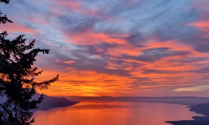 Glion House | Chalet in Montreux mit Gartenhaus, Jacuzzi, Sauna und Einmaliger Aussicht!