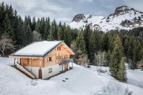 Le Praz de Lys Ski Chalet | Chalet Les Amborzales