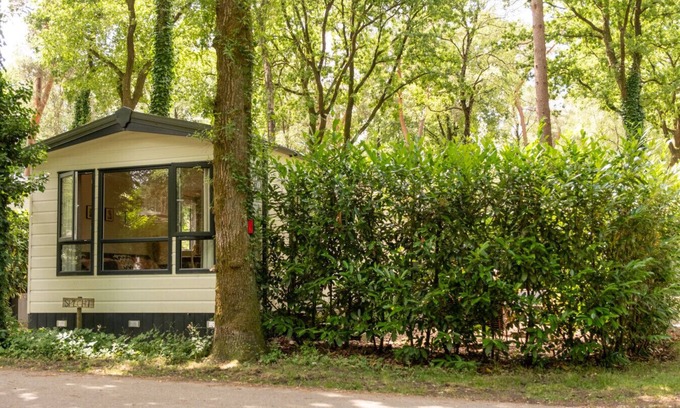 Bosgebied Hoenderloo Ski Chalet | Chalet, with 2 steps in the woods | Veluwe | Kids.