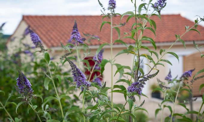 Fossemagne Cottage | Chaleureuse maison de plain-pied, proche Périgueux et Montignac, confort moderne et activités familiales