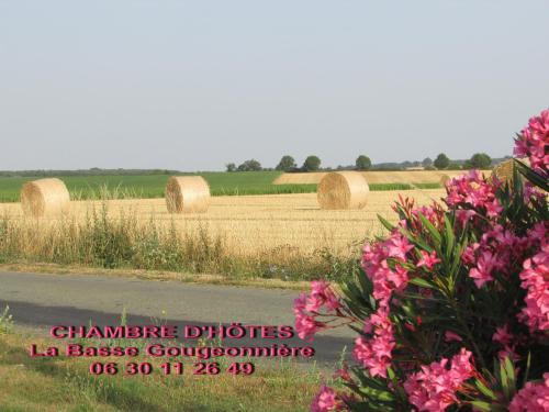 Neuvy-en-Mauges Bed & Breakfast | Chambre D'hôtes La Basse Gougeonnière