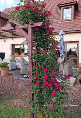 Mesnil-Val Bed & Breakfast | Chambre D'hotes Le Clos Fleuri