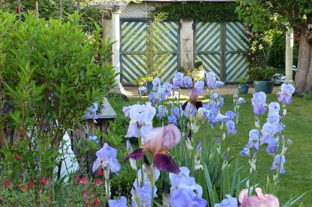 Marcigny Bed & Breakfast | Chambres d'hôtes Les Pergolas