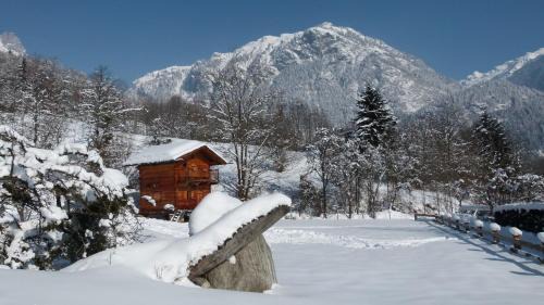 Servoz Ski Chalet | Chamonix petit chalet Cocooning