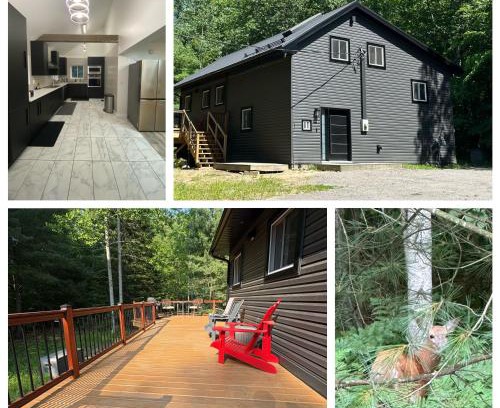 Gravenhurst House | Charcoal Tree House