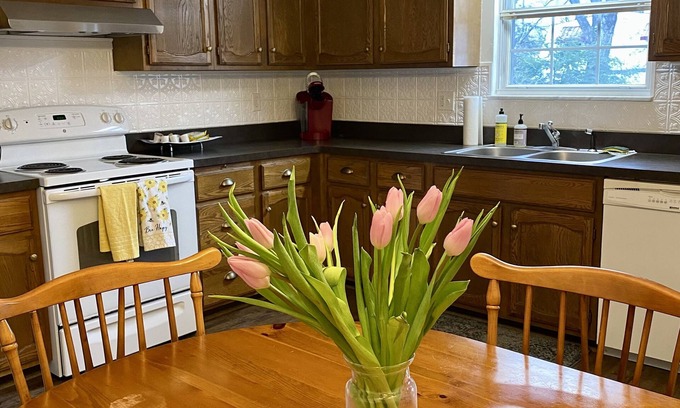 Charleston House | Charlie West House — Cozy, spacious, FREE WIFI & laundry, walk to CAMC & UC