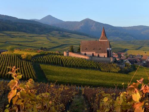 Hunawihr House | Charmant appartement rénové pour 4 pers avec terrasse à Hunawihr - FR-1-744-14