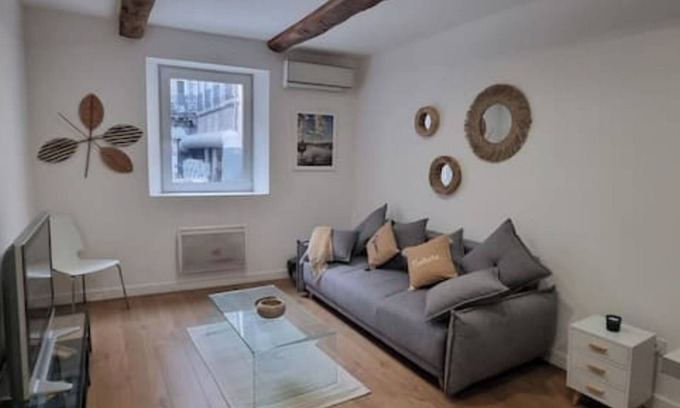 Les Borels Apartment | Charmant Duplex a la Préfecture