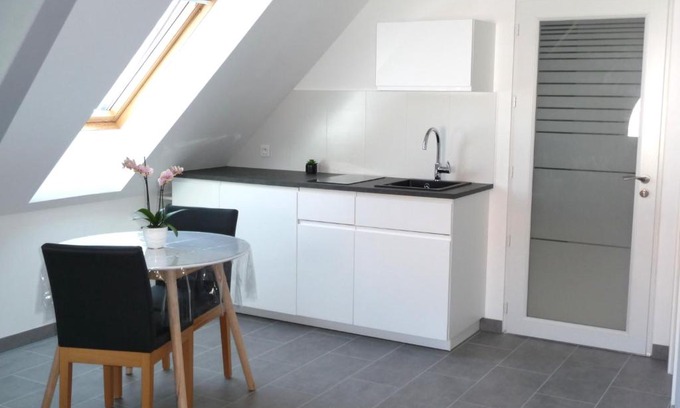 Durrenentzen Apartment | Charmant sudio aux portes de Colmar
