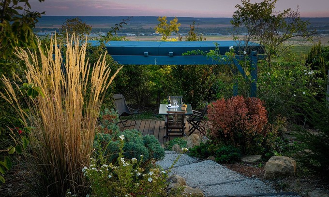 Cernay-les-Reims House | Charme - House view on the vineyard