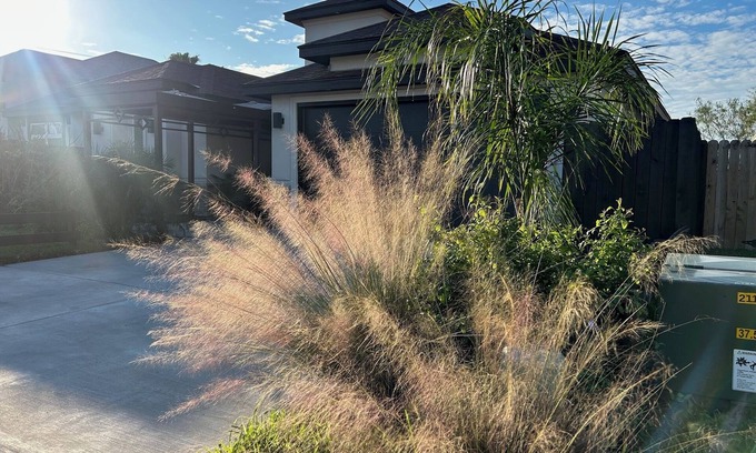 Brownsville House | Charming 1-bedroom private suite with WiFi, AC in serene Brownsville Sleeps 1