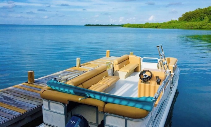 Mud Hole Cottage | Charming 1BD/1BA Cottage with View of Man O' War Harbor, A/C and WiFi