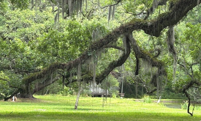Jeanerette Cottage | Charming 2-bedroom cottage on the bayou Teche in Jeanerette with AC, WiFi
