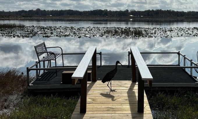 Inverness Cottage | Charming 2-bedroom renovated Lake Cottage with Cozy Vibes and an Amazing View