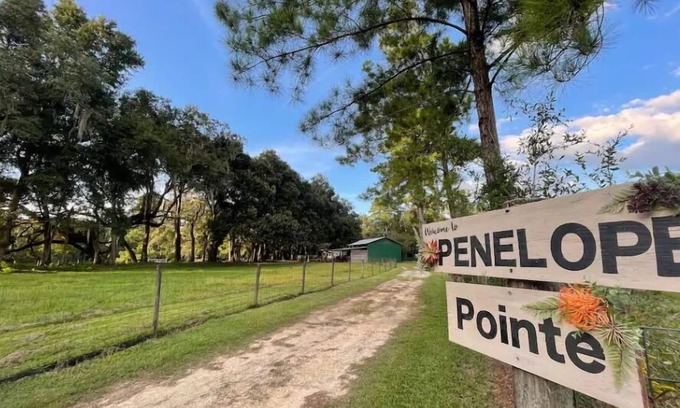 High Springs Other | Charming 3/2 Countryside & Springs Get-Away