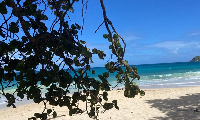 Grand-Bourg Apartment | Charming accommodation with swimming pool and panoramic view