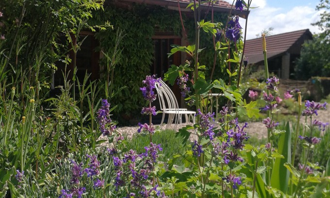 Montcony Bed & Breakfast | Charming bed and breakfast with lovely facilities, breakfast on offer.