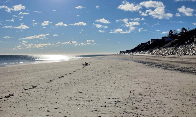 Cedar Bushes Cabin | Charming Cabin 500 feet to beach