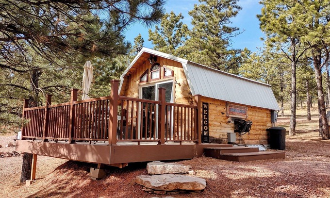 Hermosa Cabin | Charming Cabin with AC, heating, hot tub, and WiF, Park Pass in Hermosa