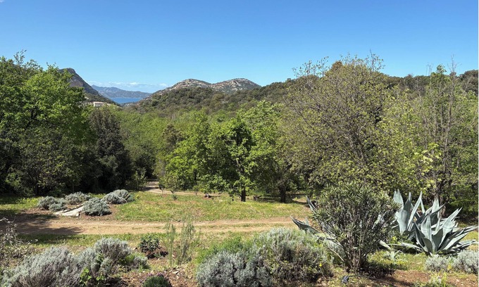 Barbaggio House | CHARMING CORSICAN HOUSE