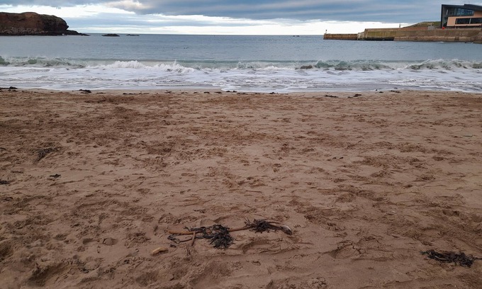 Eyemouth Apartment | Charming Eyemouth apartment close the beach