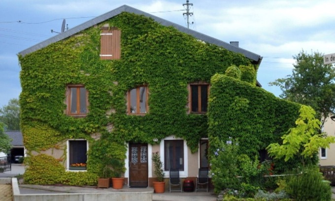 Perl Apartment | Charming, furnished apartment in Perl Sehndorf - perfect for vacation or renting