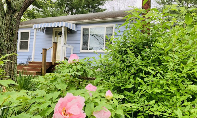Bloomington House | Charming Home .4 miles from IU, Walk EVERYWHERE