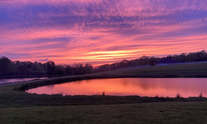 Kernersville Cottage | Charming Lakefront Cottage in Kernersville - Relax with nature!