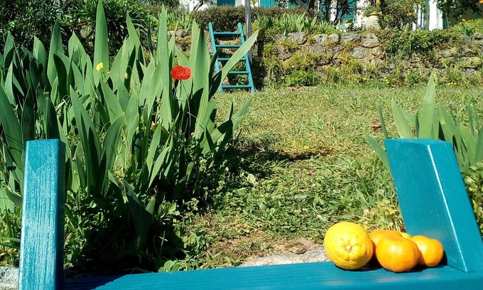 Golfe Juan House | charming little house with sea view
