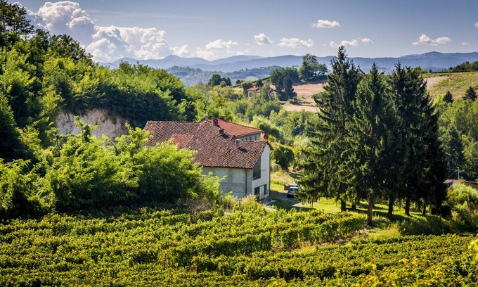 Strevi Cottage | Charming private countryhouse immersed in the vineyards