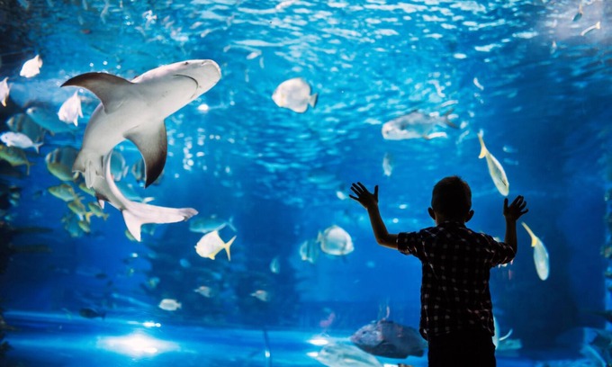 Gulfport Cottage | Charming Updated Cottage Near Beach | Dog-friendly